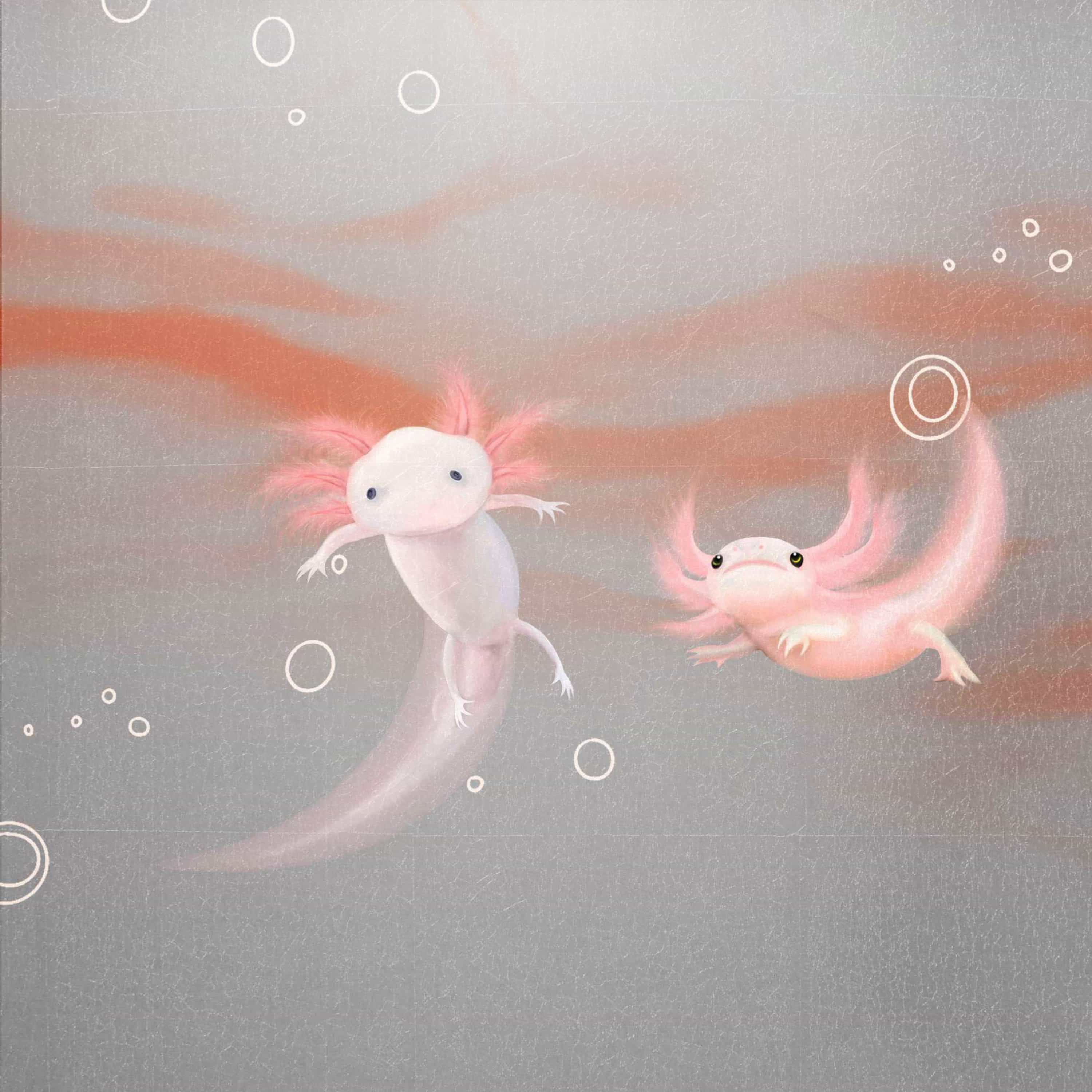 MT-003 Curious Cynops Orientalis