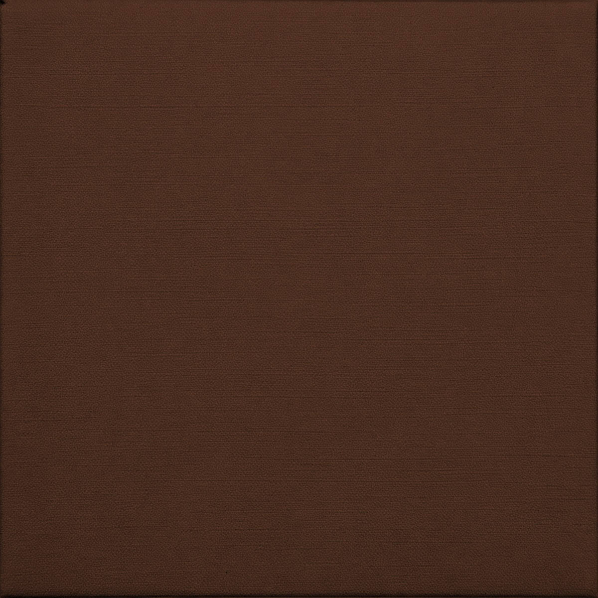 SS09 Chocolate Brown — Silk-Finish Solid Color Wallpaper, Color Swatch