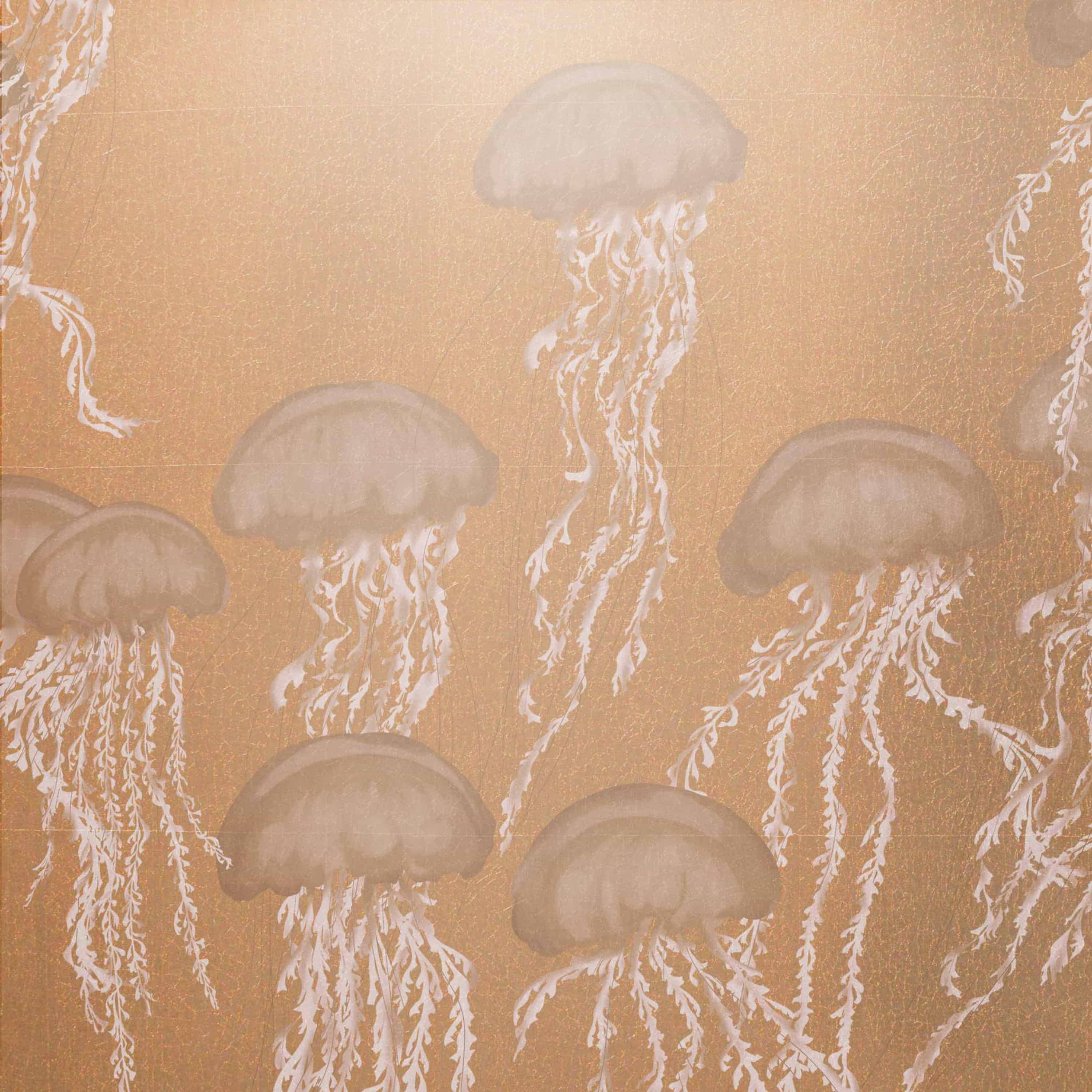 MT-030 قنديل البحر العائم MT-030