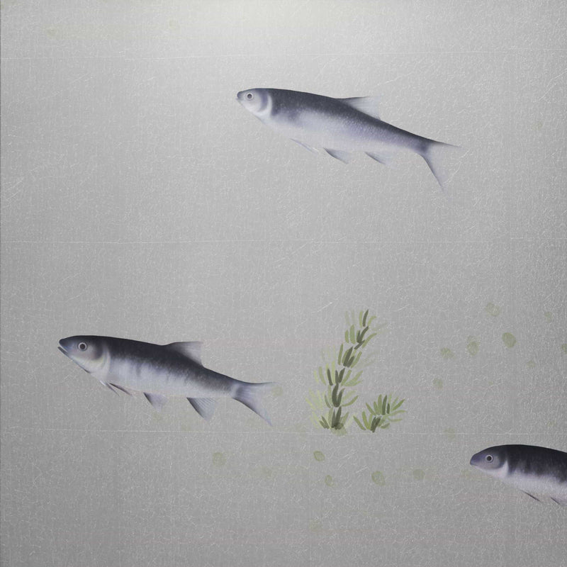 MT-045 Fische und Wasserpflanzen