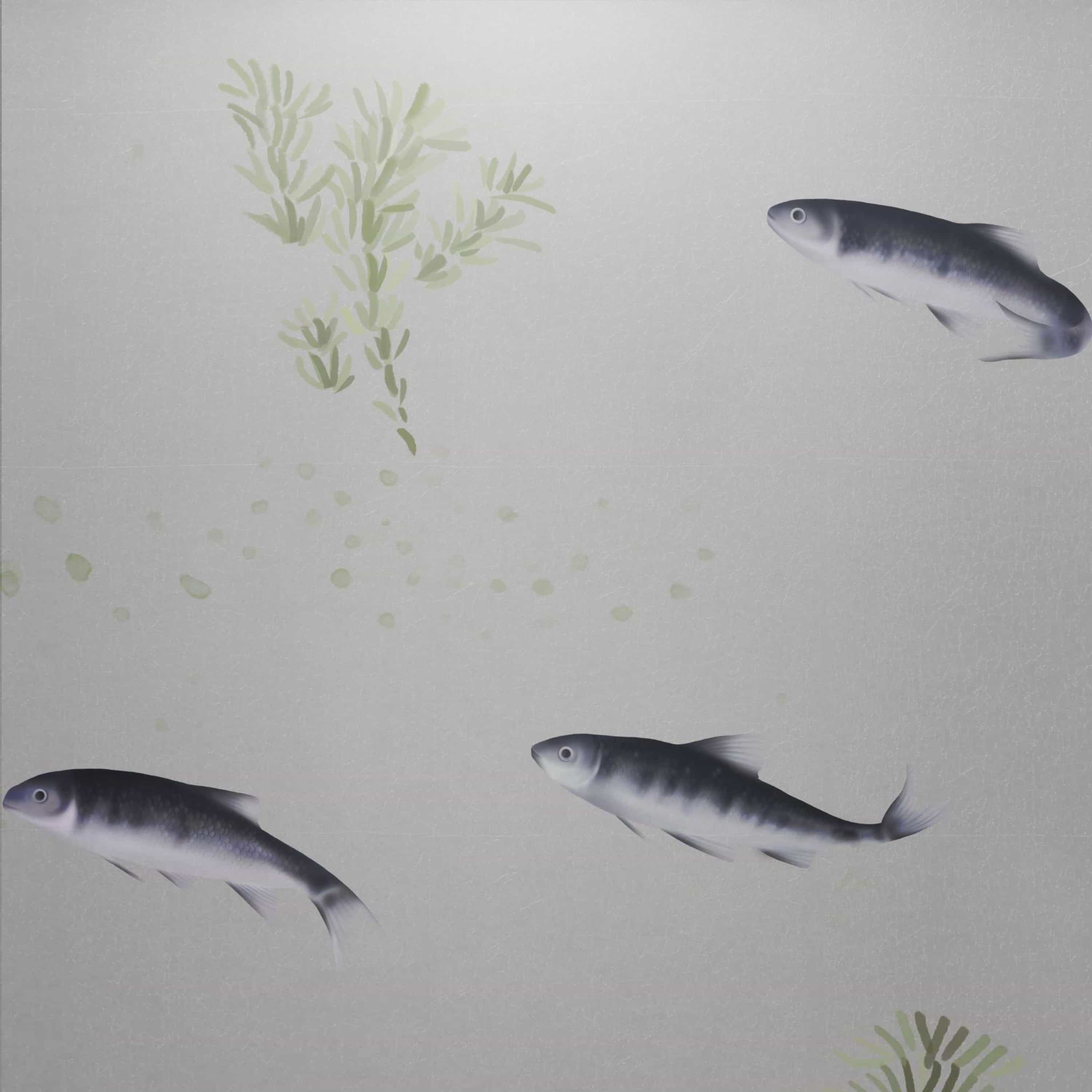 MT-045 鱼类和水生植物