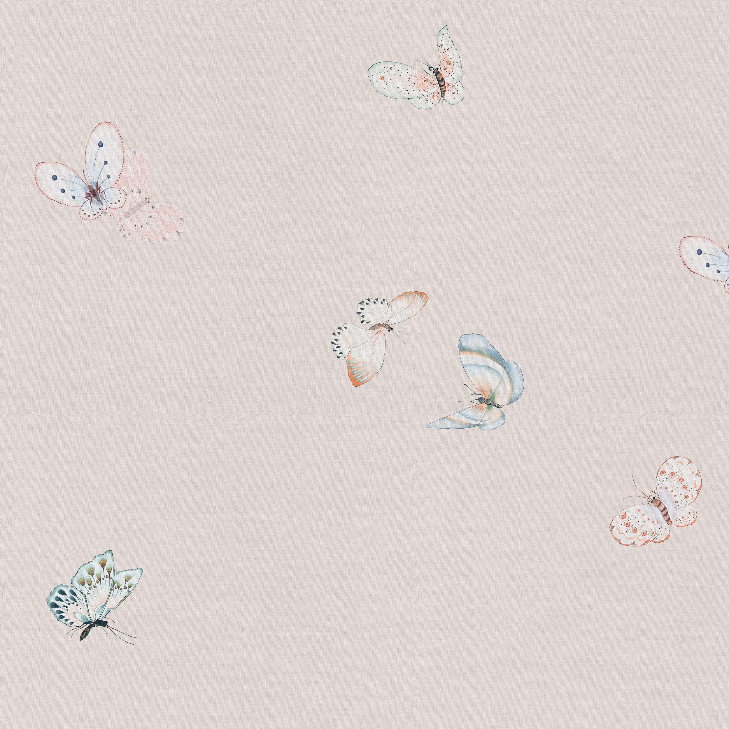 SI-050 Le monde des papillons