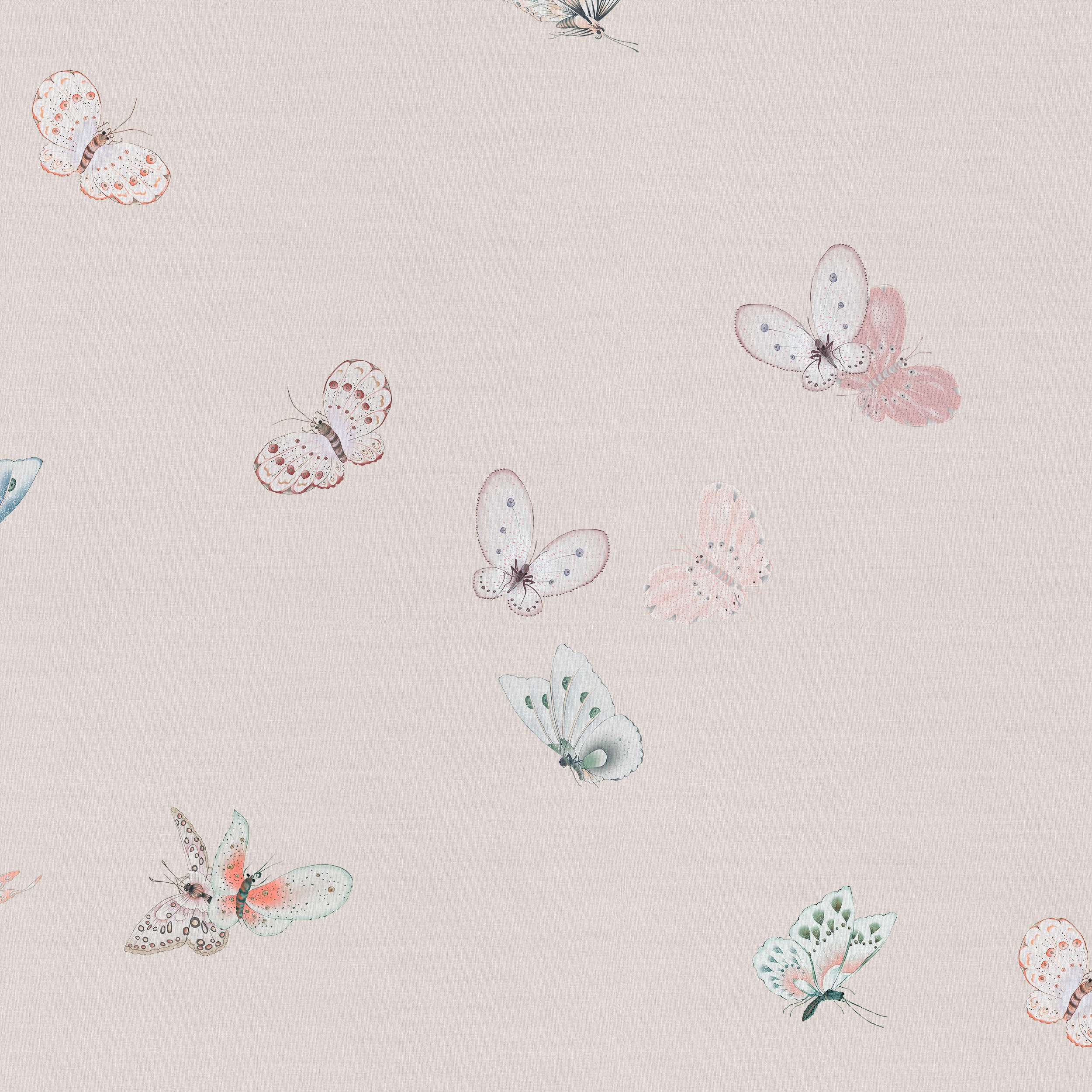 SI-050 Le monde des papillons