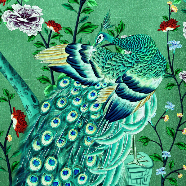 MT-035 Beauty-loving Peacock