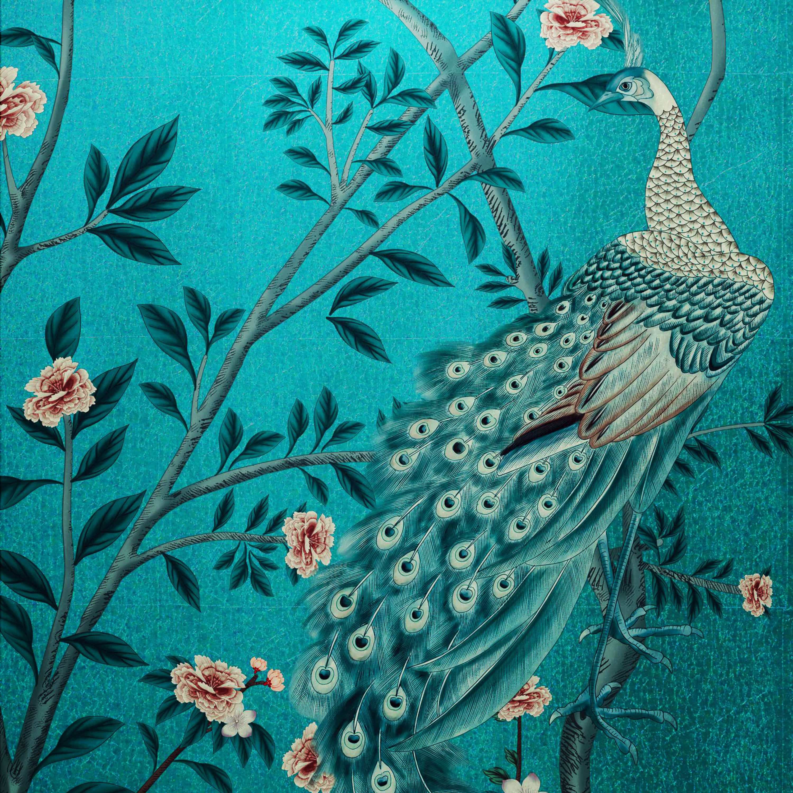 MT-037 Schönheitsliebender Pfau