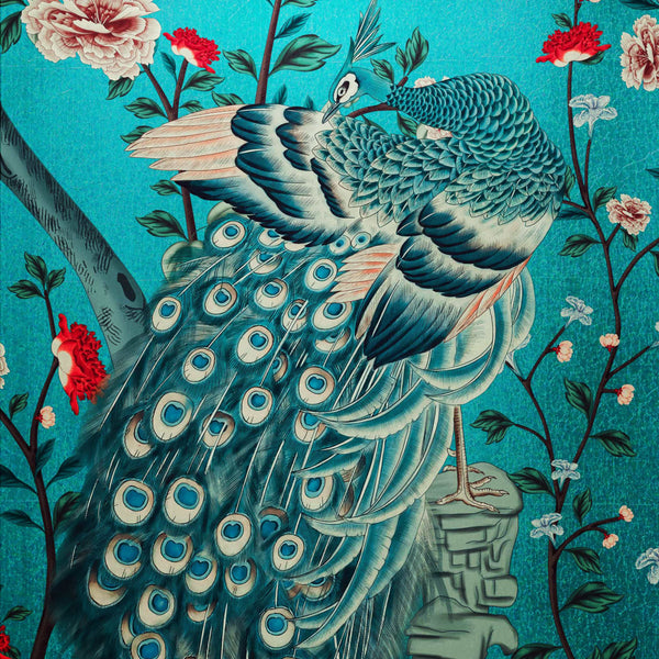 MT-037 Beauty-loving Peacock