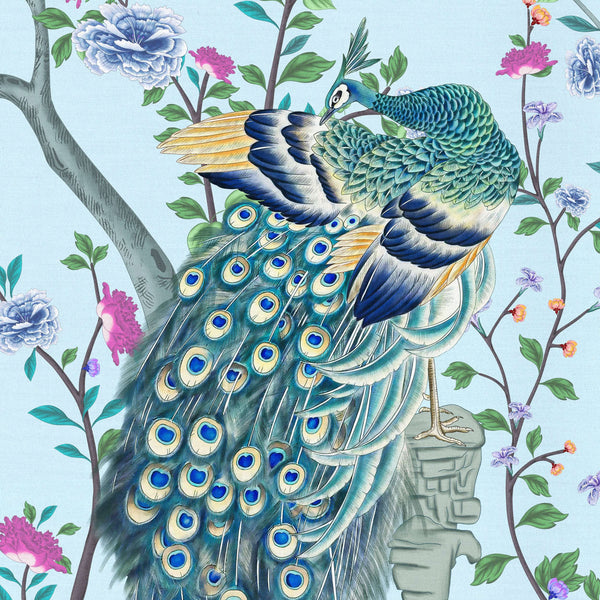 SI-012 Beauty-loving Peacock