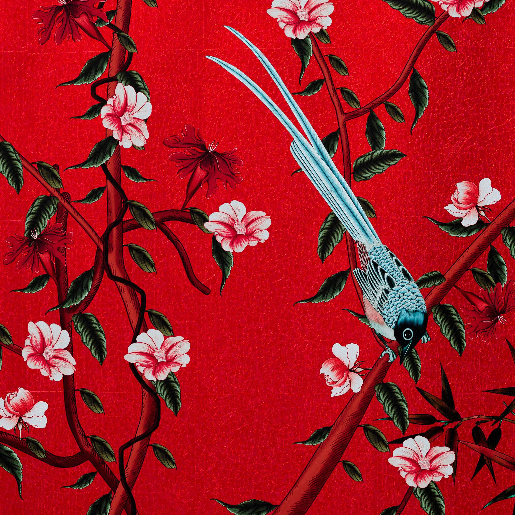 MT-013 多元化生活